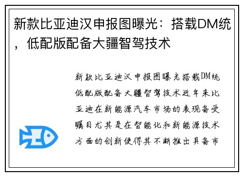 新款比亚迪汉申报图曝光：搭载DM统，低配版配备大疆智驾技术