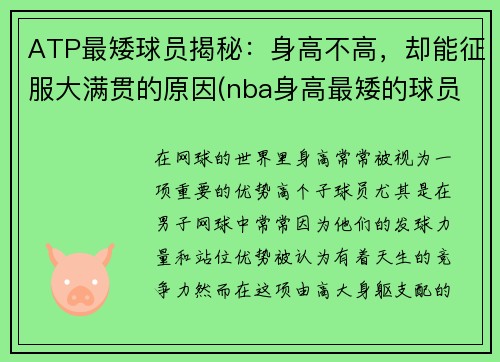 ATP最矮球员揭秘：身高不高，却能征服大满贯的原因(nba身高最矮的球员多少)